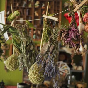 Herbs & Botanicals
