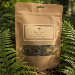 forest fern (pteridophyta)