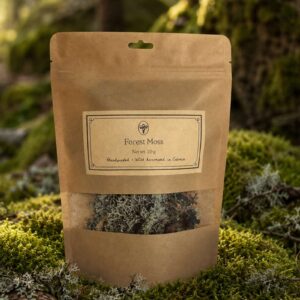 reindeer moss (cladonia spp.)