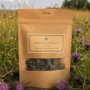 thistle leaves & flowers (cirsium spp.)